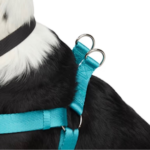 Lot of 2 YOULY Dog Harness"The Classic" & "The Wanderer" Size Medium NWT - Picture 6 of 10